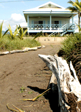 Bungalow from the Beach