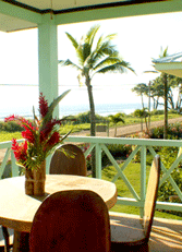 Beach View