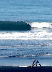 Surfing
